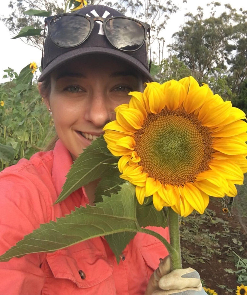 PROMISING RESULTS FOR CHOICE URBAN FARMS TOOWOOMBA